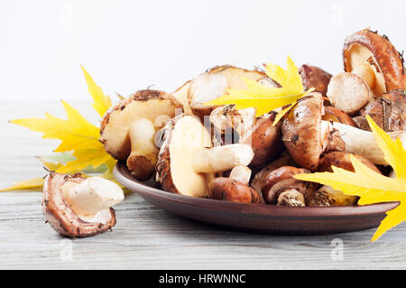 Les champignons sauvages comestibles et les feuilles d'érable jaune dans une plaque d'argile sur un fond de bois. Banque D'Images