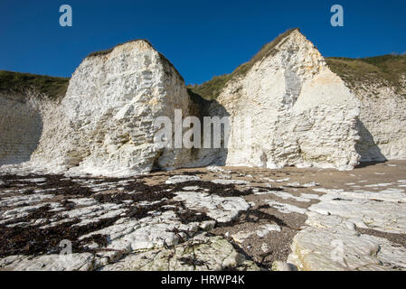 Falaises de craie à Selwicks bay, Flamborough brillant dans la lumière du soleil. Un littoral magnifique sur la côte est de l'Angleterre. Banque D'Images