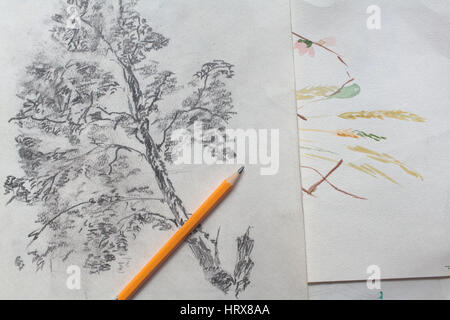 Création de dessin au crayon de bois sur papier Banque D'Images