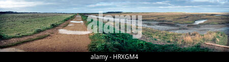 Thornham marais North Norfolk angleterre Banque D'Images