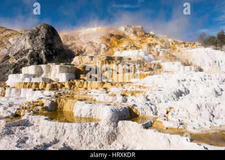 Terrasses en travertin Mammoth Hot Springs dans le Parc National de Yellowstone avec de la vapeur et de bassins Banque D'Images