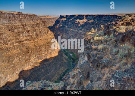 Bruneau River Canyon en haute région désertique, California, USA Banque D'Images