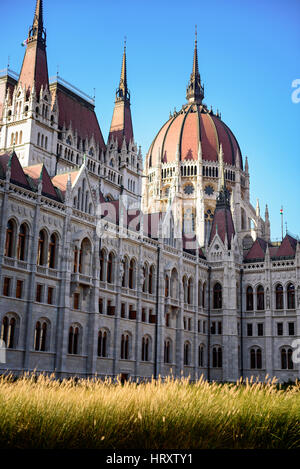 Golden meadows à côté de l'historique de la Maison du parlement à Budapest Banque D'Images