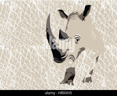 La texture de la peau de rhinocéros. Contexte et motif. Banque D'Images