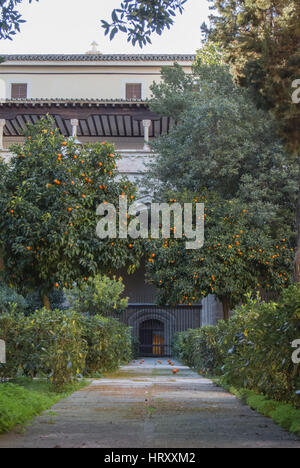 Une cour du primat de la cathédrale Sainte Marie de Tolède avec un jardin d'orangers, des barrières et un sentier, Castille la Manche, Espagne. Banque D'Images