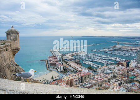 Une mouette près de l'ancien château Santa Barbara au-dessus du port d'Alicante et vue de la mer Méditerranée, l'Espagne. Banque D'Images