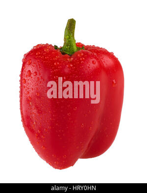 Paprika rouge frais isolé avec de l'eau gouttes sur fond blanc Banque D'Images