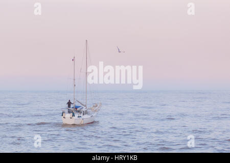 Bateau à voile, beau yacht blanc, laissant Amble Harbour sur la côte de Northumberland et de la voile en mer avec une mouette frais généraux à la dérive Banque D'Images