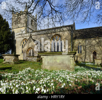 Perce-neige à l'église Sainte-Marie, Beverston Gloucestershire Banque D'Images