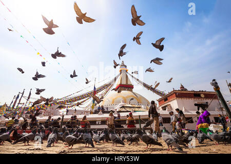 Katmandou, Népal - 25 février 2014 : les oiseaux et les gens marcher autour de stupa boudhanath prières dans la belle journée ensoleillée, monument bouddhiste Banque D'Images