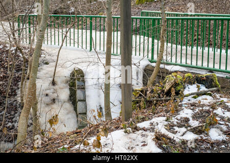 Dans le ruisseau gelé bois vienne, District 19. Vienne, Autriche. Banque D'Images