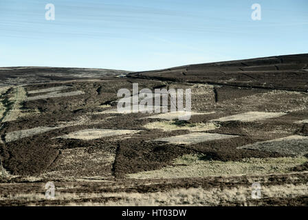 Modèle d'une Muirburn grouse moor dans le Lammermuir Hills. Sporting estates parcelles de brûler la population de tétras, Heather peuvent manger les nouvelles pousses. Banque D'Images