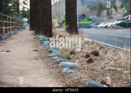 Vue paysage de pierre bordée sentier de marche en Californie, Wrightwood. Banque D'Images