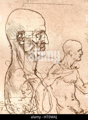 Dessin illustrant la théorie des proportions de la figure humaine, c1472-c1519 (1883). Artiste : Leonardo da Vinci. Banque D'Images