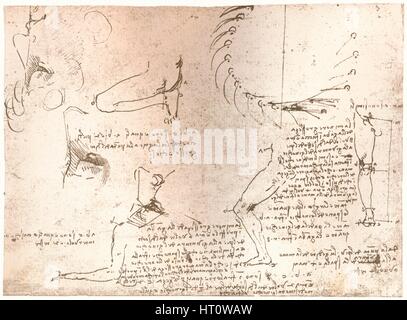 Croquis illustrant la théorie des proportions de la figure humaine, c1472-c1519 (1883). Artiste : Leonardo da Vinci. Banque D'Images