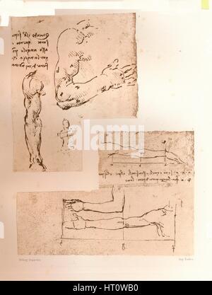 Deux dessins illustrant la théorie des proportions de la figure humaine, c1472-c1519 (1883). Artiste : Leonardo da Vinci. Banque D'Images