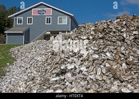 La qualité des huîtres de Fanny Bay le domaine de l'île de Vancouver (Colombie-Britannique) Canada Banque D'Images