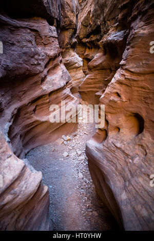 La section de passage peu Wildhorse Canon dans le sud de l'Utah. profondément à l'intérieur de la fente canyon c'est sombre et des formes étranges dans les murs de grès creat Banque D'Images