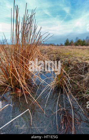 Les sols agricoles avec traces de trempé après la pluie au printemps Banque D'Images