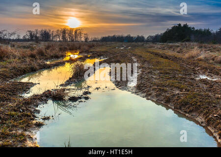 Les sols agricoles avec traces de trempé après la pluie au printemps Banque D'Images