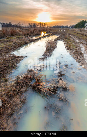 Les sols agricoles avec traces de trempé après la pluie au printemps Banque D'Images