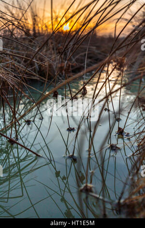 Les sols agricoles avec traces de trempé après la pluie au printemps Banque D'Images