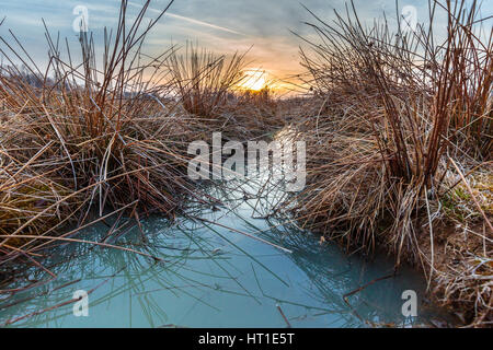 Les sols agricoles avec traces de trempé après la pluie au printemps Banque D'Images
