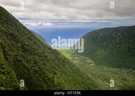 Vue aérienne de la vallée Waimanu sur la côte est de Big Island, Hawaii, USA. Banque D'Images