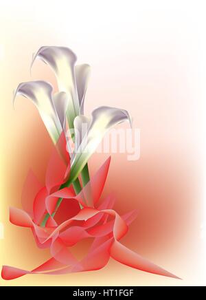 Belle calla lilies Illustration de Vecteur