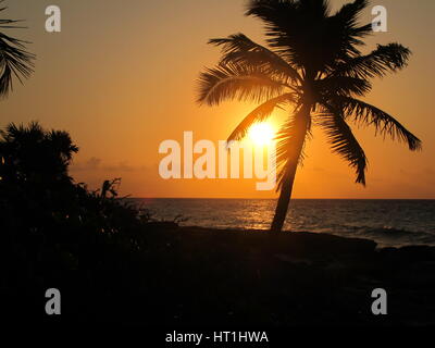 Magnifique coucher de soleil sur une plage dans le golfe du Mexique avec une silhouette du palmier dans l'avant-plan Banque D'Images