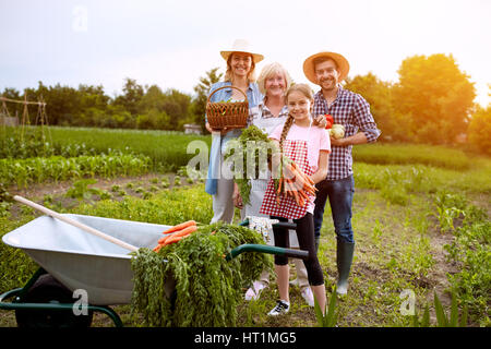 Les agriculteurs avec des légumes fraîchement cueillis dans le domaine Banque D'Images