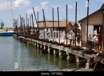 Dock vis, Bridgetown, Barbade, Antilles, Caraïbes Banque D'Images