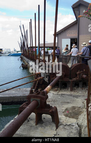 Dock vis, Bridgetown, Barbade, Antilles, Caraïbes Banque D'Images