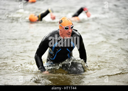 Une épreuve de natation en eau libre, le lac Ullswater Cumbria UK Banque D'Images