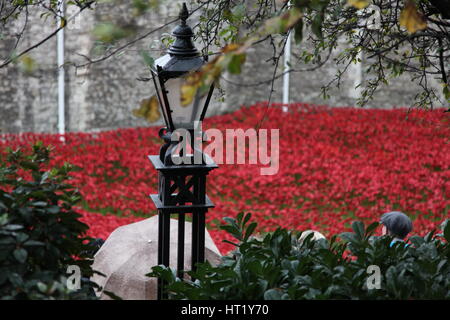 'Blood a balayé les terres et les mers de Red', la Tour de Londres, 2014. Artiste : Sheldon Marshall Banque D'Images