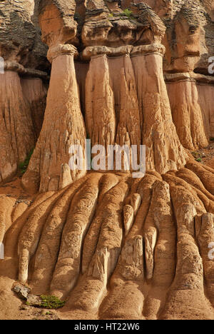 Colonnes cannelées surmontées de brèches, cheminées de tuf volcanique à wheeler zone géologique dans la région de montagnes de San Juan, Colorado, USA Banque D'Images