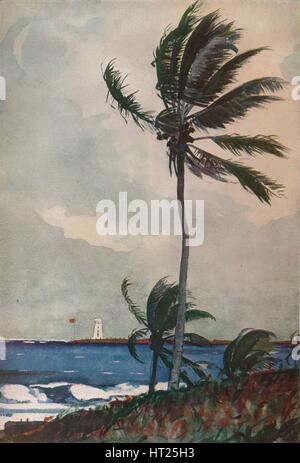 'Palmiers, Nassau", 1898, (1932). Artiste : Winslow Homer. Banque D'Images