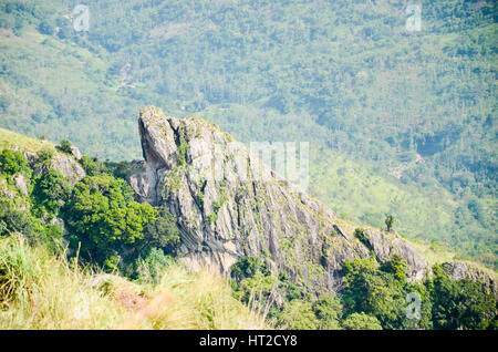 Montagnes brumeuses de Munnar à Kerala, Inde Banque D'Images