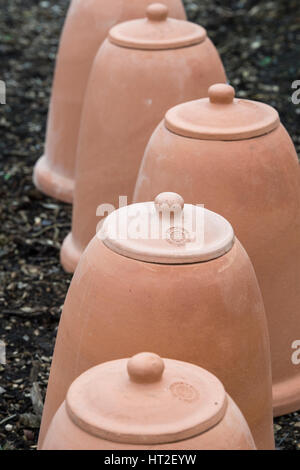 Pots de service en terre cuite. Pots de fleurs du Yorkshire dans un jardin anglais. ROYAUME-UNI Banque D'Images