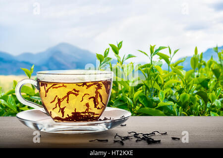 Close up of tea cup le paysage indien en bois sur fond avec des feuilles vertes, montagnes, concept l'heure du thé Banque D'Images