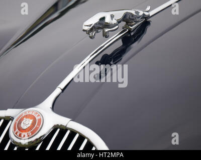 Mascotte chat bondissant sur Jaguar XK150 Banque D'Images