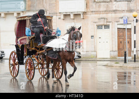 Medina Malte, 7 mars 2017. Un panier de tourisme de l'conciliabules pilote la pluie et le vent sur sa calèche dans le centre historique de la ville de Medina comme une tempête, avec des vents de force 8 avec rafales à 40 mph mélangé avec de la grêle et la pluie traverse l'île. Julian crédit Eales/Alamy Live News Banque D'Images