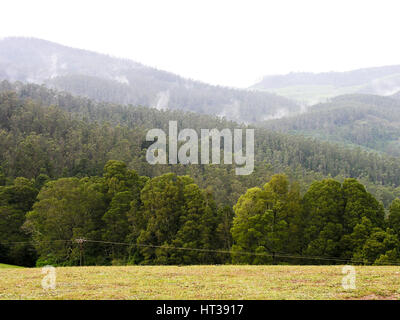 Des pics de montagne d'Ooty Banque D'Images