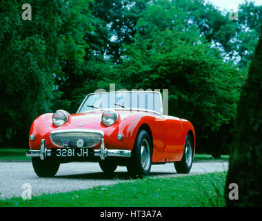 1958 Austin Healey Sprite. Artiste : Inconnu. Banque D'Images