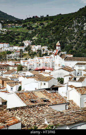 Maisons blanchies à la chaux et de Notre Dame de l'Église O, Ubrique, Espagne Banque D'Images