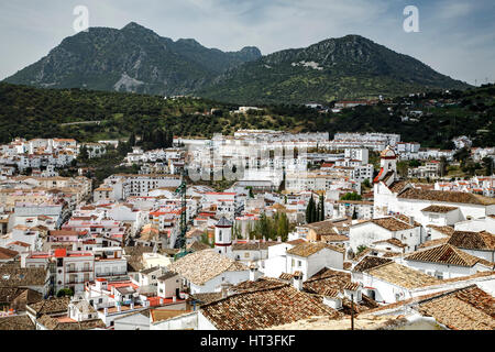 Les maisons blanchies à la chaux et les montagnes de Grazalema, Ubrique, Espagne Banque D'Images