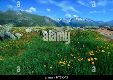 Vue imprenable depuis le sommet de Grimselpass. Alpes, Suisse, Europe. Banque D'Images