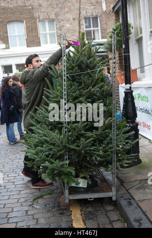 Londres, Royaume-Uni. Dec 11, 2016. Vente d'arbres de Noël intense à Colombie-britannique Marché aux Fleurs le dimanche dans l'East End de Londres à Tower Hamlets. Banque D'Images