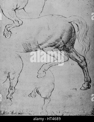 "Etudes de l'Hind-Quarters Hind-Legs et du d'un cheval", c1480 (1945). Artiste : Leonardo da Vinci. Banque D'Images