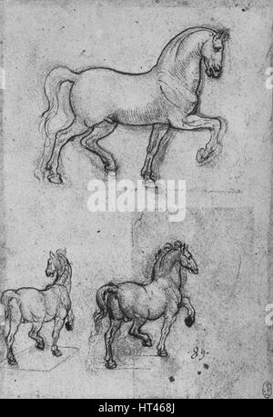 'Trois études de chevaux', c1480 (1945). Artiste : Leonardo da Vinci. Banque D'Images